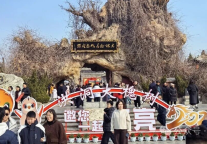 洪洞大槐树景区“第二十届民俗中国年”系列活动盛大开幕