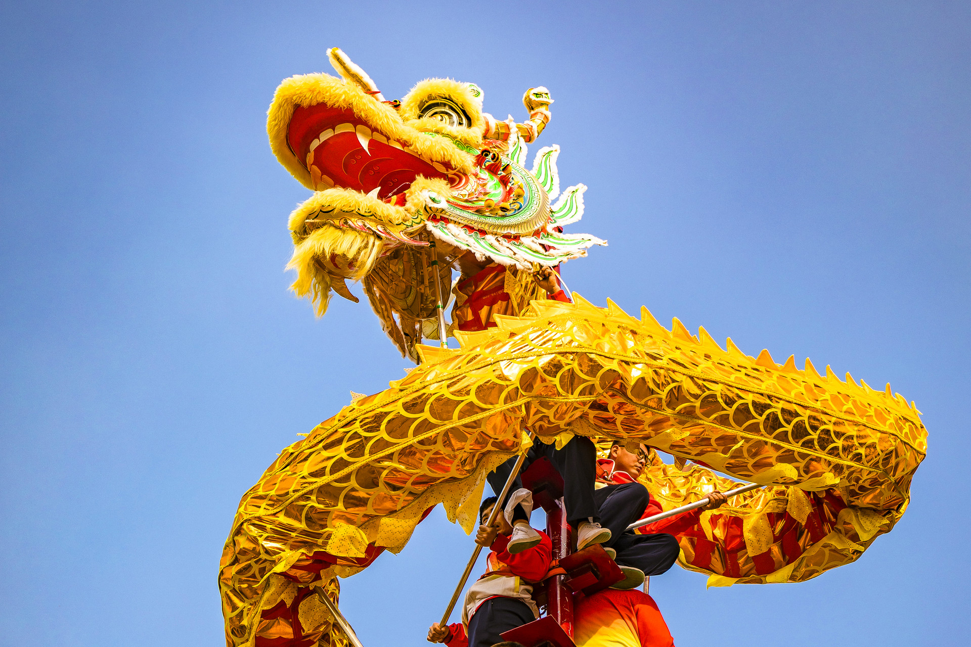 广东：春节期间接待游客8658.9万人次，实现旅游收入848.9亿元