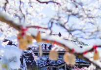 别只去金顶啦！住进武功山半山腰，空调房里也能看雪景！