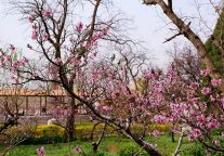 免票倒计时|这个3月，用最酷的方式打开沙坡头景区的春天