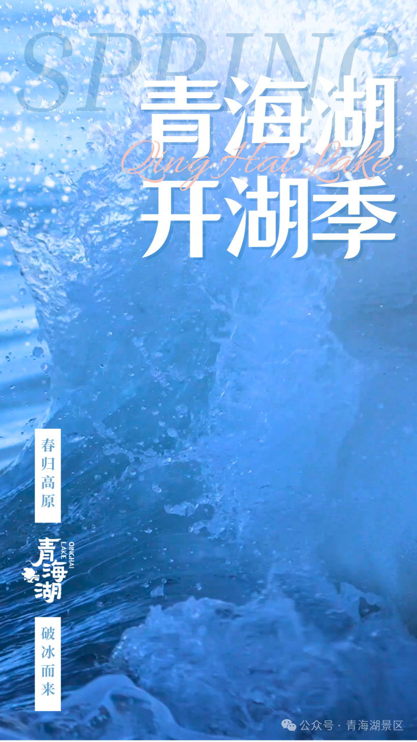 开湖季|青海湖景区的春天，从仙女湾开始！