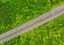 广西旅游年银发旅游专列首发