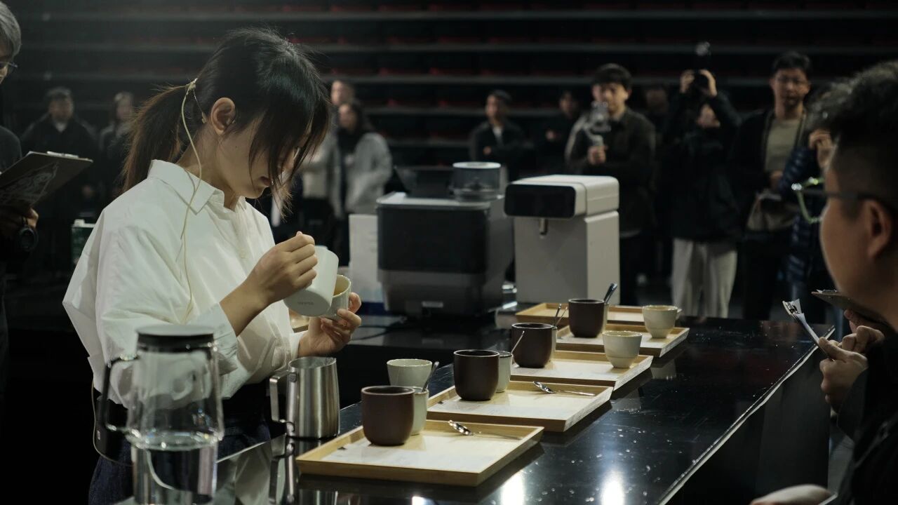 咖啡飘香府城！2026世界咖啡系列赛事进行时——