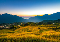 浙江出台大型演出奖补细则，最高可获100万元奖励