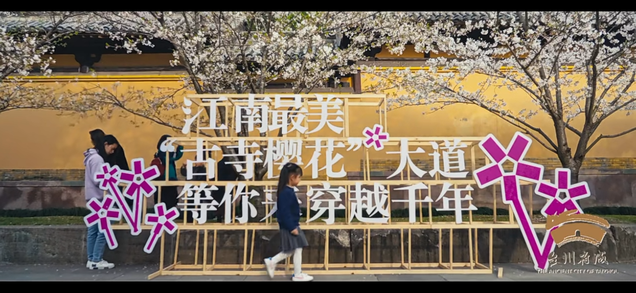 会见面的，再等等！等府城的樱花开满全城！