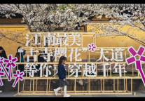 会见面的，再等等！等府城的樱花开满全城！