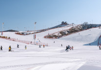 国家体育总局：2025年11月至2026年1月全国雪场接待1.18亿人次