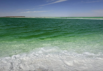 《生命树》救了青海旅游，但没完全救活