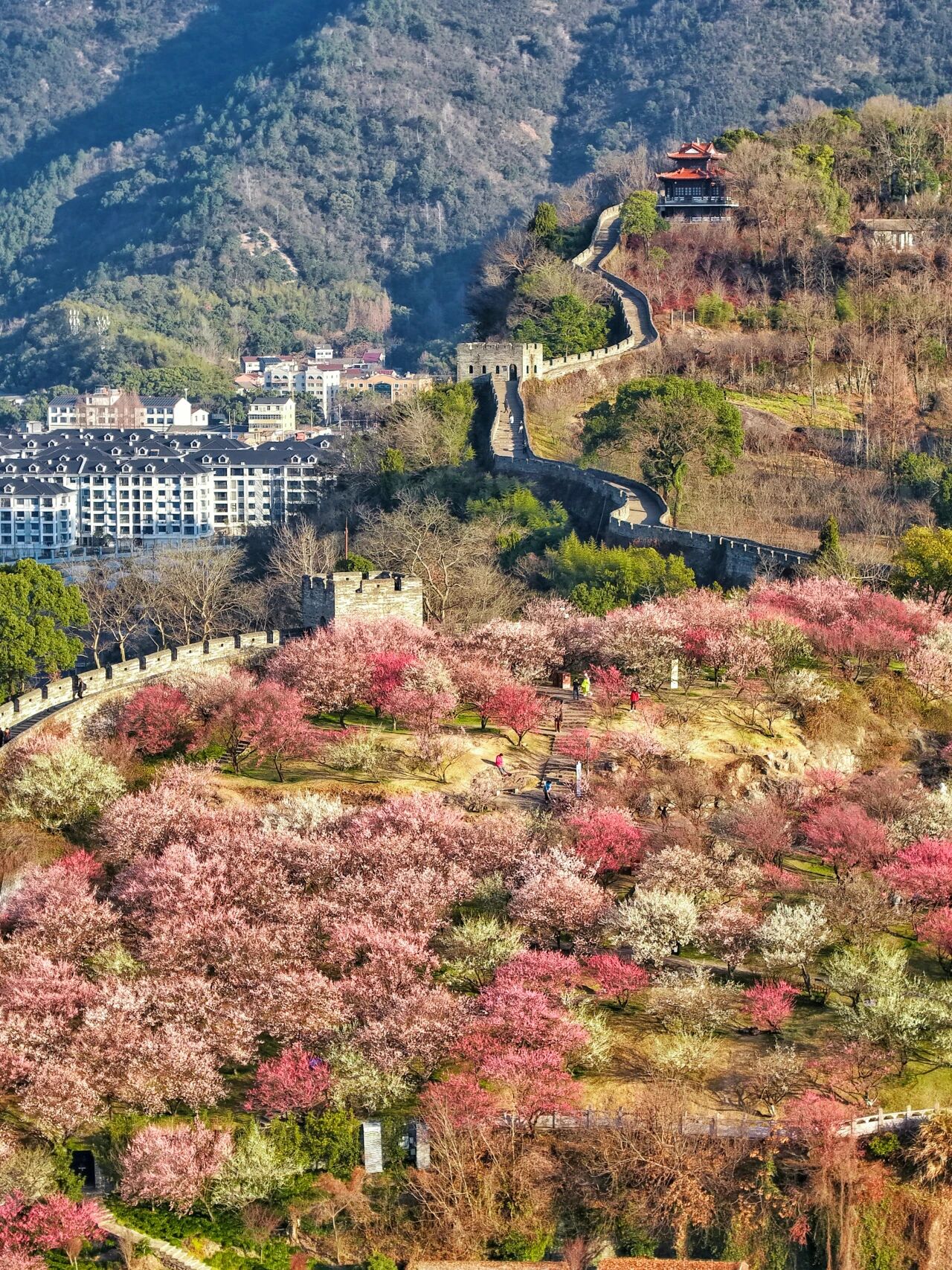 春节放大招！台州府城墙“一票游三天” 嗨玩更尽兴