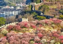 春节放大招！台州府城墙“一票游三天” 嗨玩更尽兴