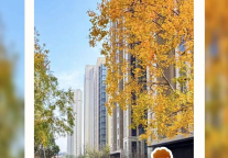 快来赢取丰富奖品！城发美寓美好摄影大赛来啦