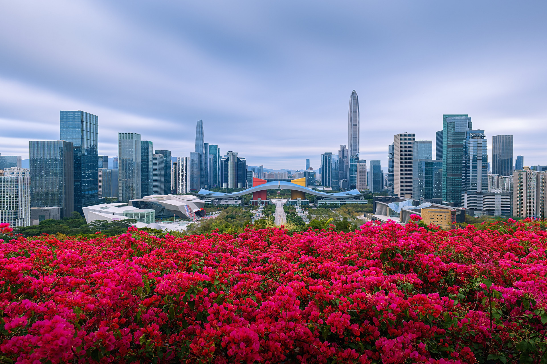 深圳出台微短剧扶持政策 展示“深圳文旅元素”最高可获200万元