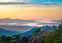 明月山免票福利来啦！三八妇女节邀你一起“上春山”！