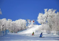 长白山万达雪季双十一预售圆满收官 多元套餐精准覆盖全客群