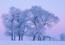黑龙江七台河出台全国首部冰雪产业法规，鼓励“AI+冰雪”