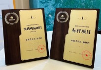 喜报！“东南青年汇”荣获2025年中国住房租赁实践典范项目、标杆项目双料荣誉！