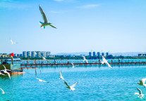 无锡灵山文旅集团5亿元私募债券项目更新至“已反馈”