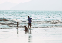 寒假民宿预订“一北一南”最火， 亲子家庭热衷去南方“租栋别墅”旅居， 途家：旅居订单同比增长35%