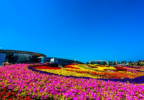 唐山万达广场万信至格酒店项目签约