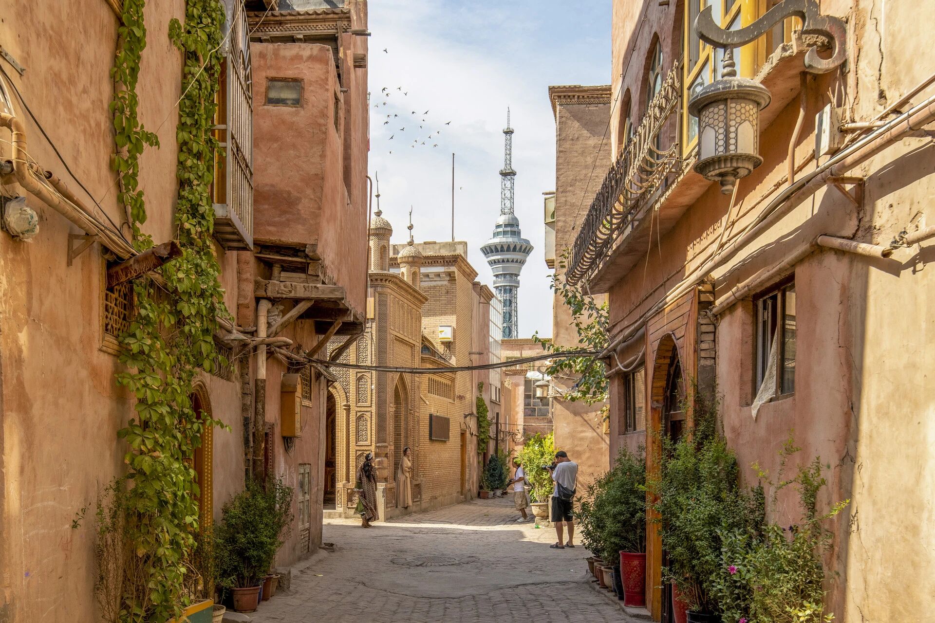 网红旅游目的地，正在集体退烧