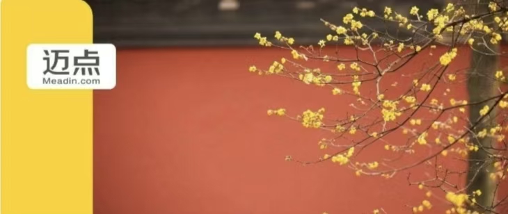 17省市“十五五”规划建议出炉，都在加码文旅了