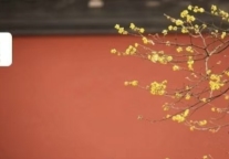 17省市“十五五”规划建议出炉，都在加码文旅了