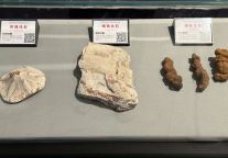 来郧阳地质公园解锁史前世界的四种密码！