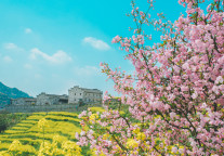从春菜到春宴， “春日经济”带动文旅消费升温