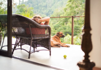 和花筑一起，开启宠物友好品质之旅