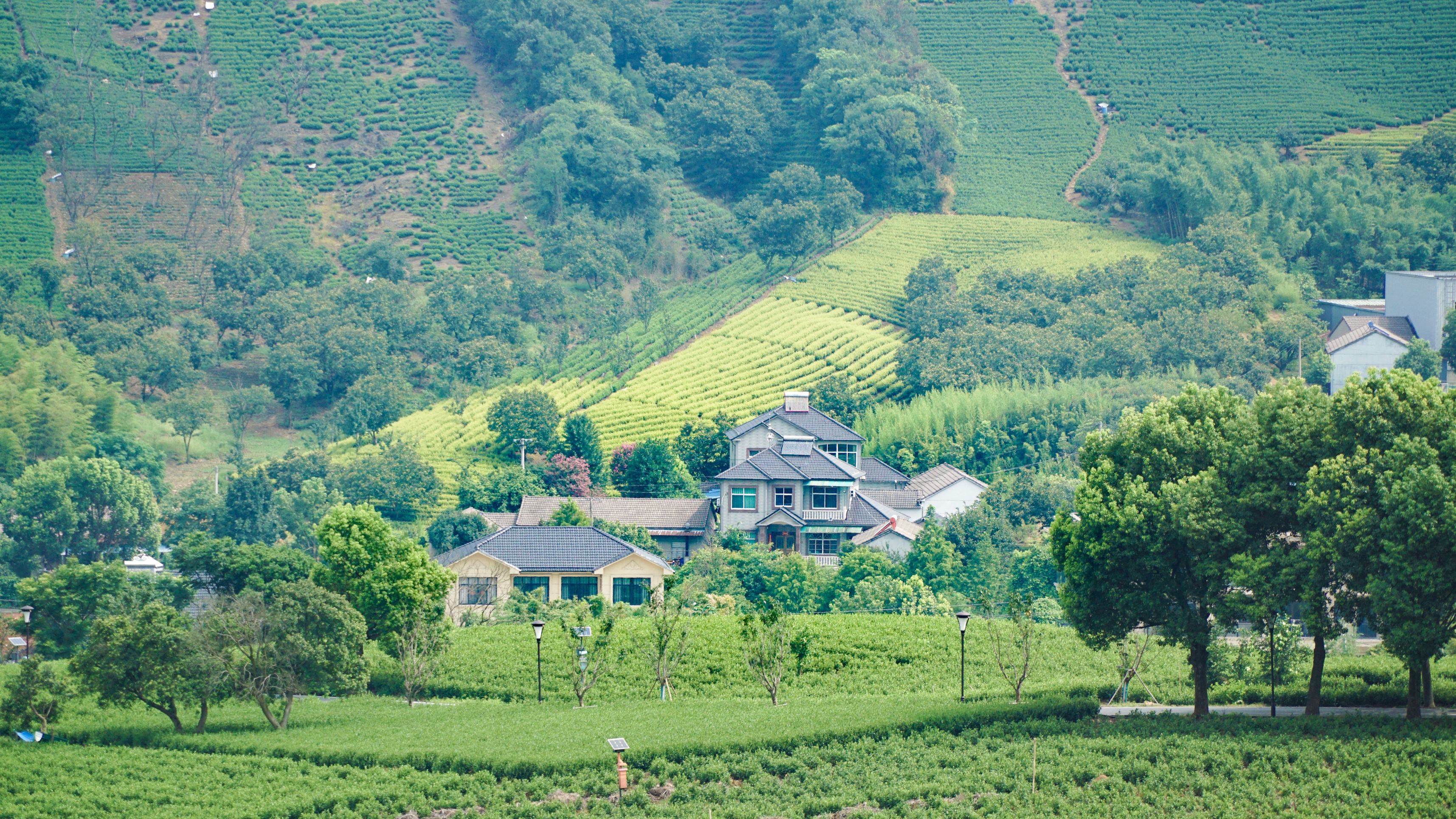 祥源文旅2025年Q3净利润6462.6万元，同比增长27.33%