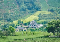 祥源文旅2025年Q3净利润6462.6万元，同比增长27.33%