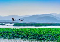 研学基地要升级了！东平湖景区入选山东省研学旅游基地品质提升试点单位名单