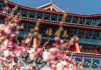 飞猪：暑期旅游需求强劲 订单均价增长9.9%