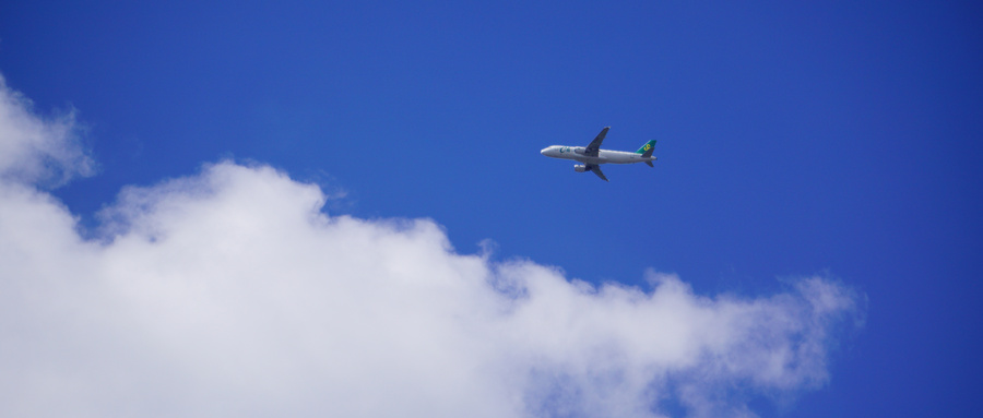 飞猪双11开卖24小时近300个商家成交翻倍