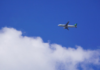 飞猪双11开卖24小时近300个商家成交翻倍