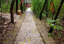 东平湖景区雨后图鉴：每一帧都是心动的模样