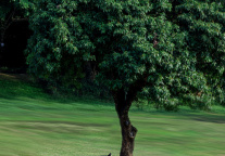 上海2025年下半年将继续安排5亿元财政资金发放消费券