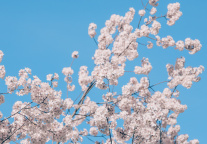 雄安新区首批120名疏解央企员工正式入住保障房