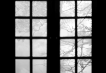 这三地游客可免票游庐山风景区！快看有你的家乡吗？