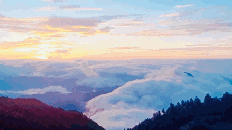 21.gif