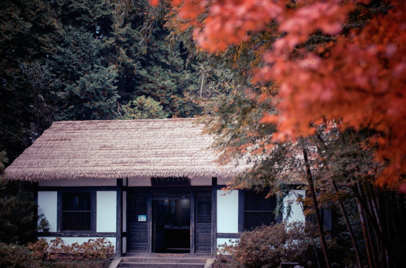 收好这份「五感地图」，解锁一个4D立体的庐山秋天