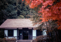 收好这份「五感地图」，解锁一个4D立体的庐山秋天