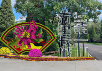 万盏金菊 共迎金秋||长城金秋菊展即将启幕