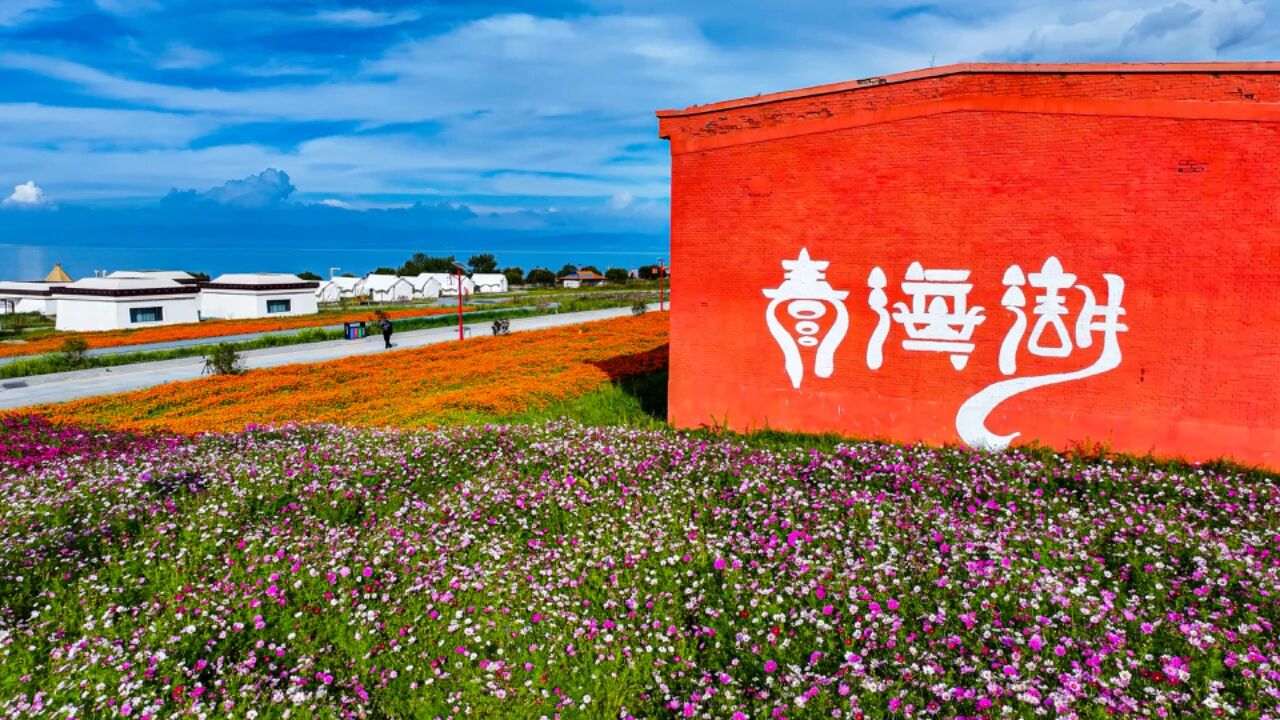白露至，南方仍暑热！青海湖景区二郎剑已悄然入秋，20℃清凉等你错峰畅游！