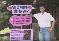 偶遇明星艺人！明日水木年华、任璐遥在庐山风景区等你