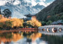 《云南省金融支持民营企业专项行动方案》发布，聚焦 “旅居云南” 金融服务