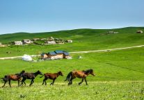 贝壳酒店（霍林郭勒火车站店）：新启草原煤城，悦享风与远方