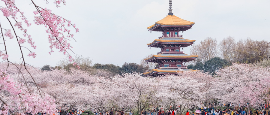 2025中国文化旅游产业博览会9月12日至14日在武汉举办