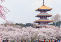 2025中国文化旅游产业博览会9月12日至14日在武汉举办