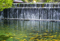 珠江钢琴子公司中标广州白水寨景区经营权 